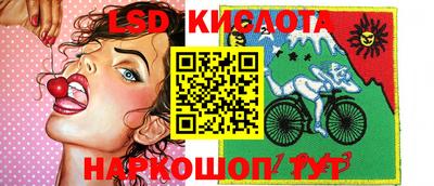 бошки Можга