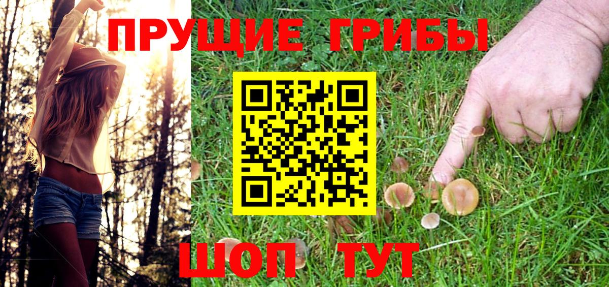 Псилоцибиновые грибы Cubensis Югорск