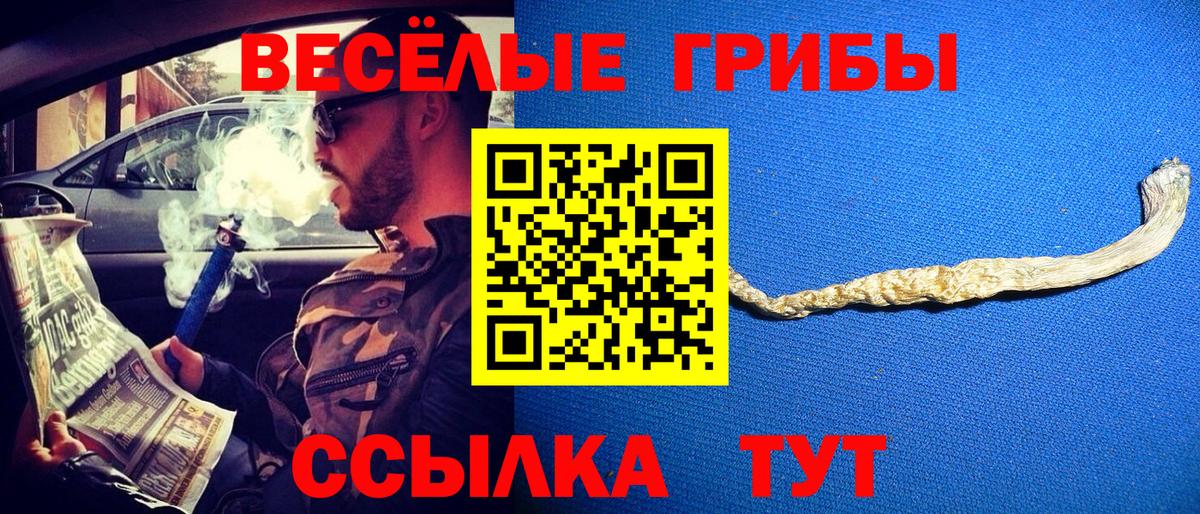 Псилоцибиновые грибы GOLDEN TEACHER  Вход с VPN  Югорск 